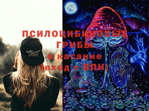 синтетический гашиш Богородицк