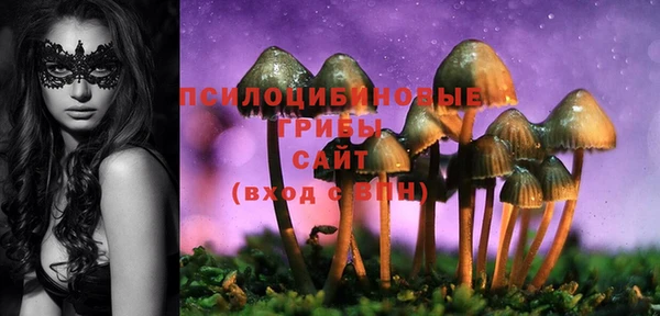 молекула духа Бугульма